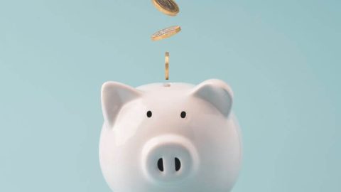 MPS-saves-budget MPS saves budget